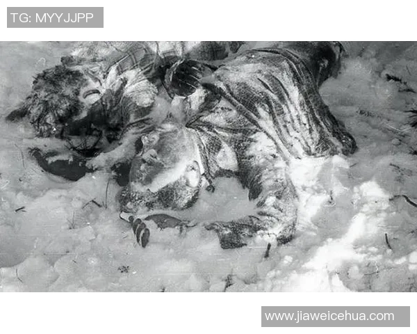 世界足坛十大球星重伤事件盘点 揭秘他们背后的悲痛与坚韧 世界足坛十大球星重伤事件盘点 揭秘他们背后的悲痛与坚韧